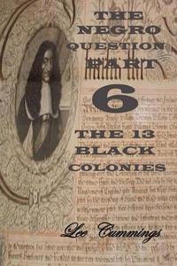 bokomslag The Negro Question Part 6 the 13 Black Colonies