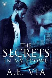 bokomslag The Secrets in My Scowl