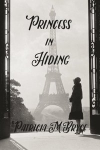 bokomslag Princess in Hiding