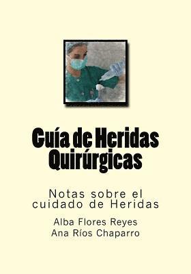 bokomslag Guia de Heridas Quirurgicas: Notas sobre el cuidado de Heridas