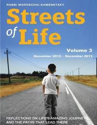 bokomslag Streets of Life Collection Volume 3: Reflections on Life's Amazing Journeys and the Paths that Lead There