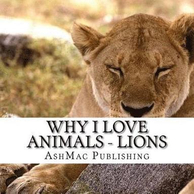 bokomslag Why I love Animals - Lions