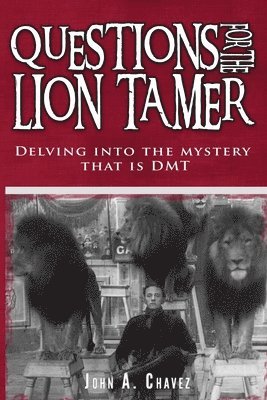 bokomslag Questions for the Lion Tamer: Delving in the Mystery that is DMT