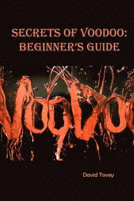 bokomslag Voodoo. Secrets of Voodoo: Beginner's Guide