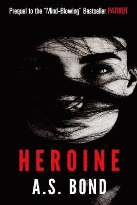 Heroine: Brooke Kinley Adventures #2 1