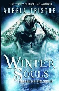 bokomslag Winter Souls