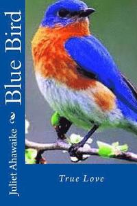 bokomslag Blue Bird