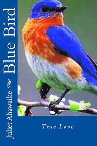 bokomslag Blue Bird