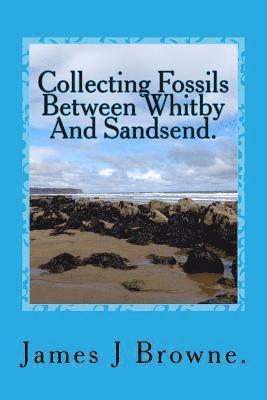 bokomslag Collecting Fossils Between Whitby And Sandsend.: A Beginner's Guide.