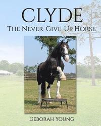 bokomslag Clyde: The-Never-Give-Up-Horse