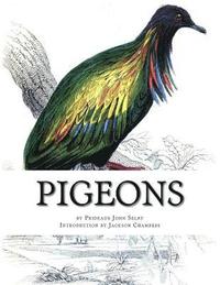 bokomslag Pigeons: Pigeon Classics Book 9