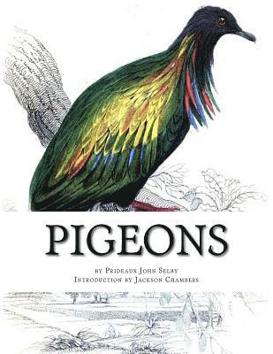 Pigeons: Pigeon Classics Book 9 1