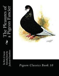 bokomslag The Pleasures of a Pigeon Fancier: Pigeon Classics Book 10