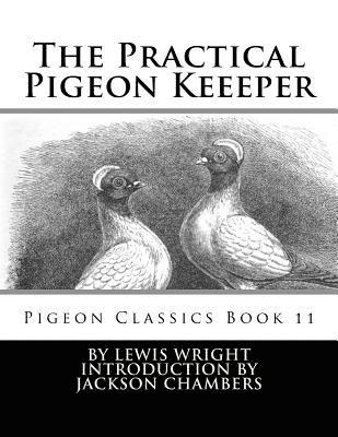 bokomslag The Practical Pigeon Keeeper: Pigeon Classics Book 11