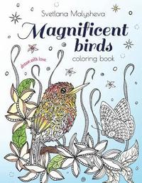 bokomslag Magnificent birds