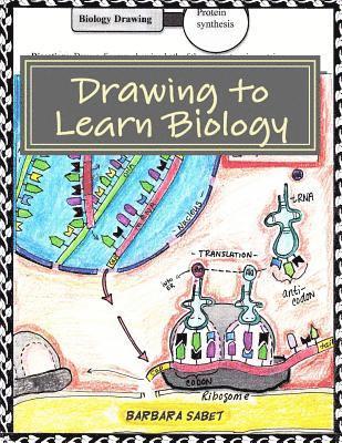 bokomslag Drawing to Learn Biology: Student Assignments in Illustrating Biology Concepts