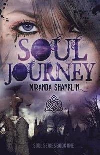 bokomslag Soul Journey (Soul Series Book 1)
