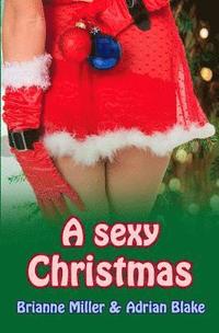 bokomslag A sexy Christmas