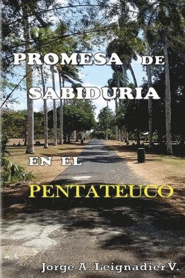 bokomslag Promesa de Sabiduria en el Pentateuco