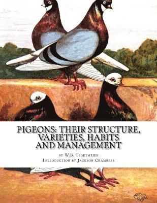 bokomslag Pigeons: Their Structure, Varieties, Habits and Management: Pigeon Classics Book 12