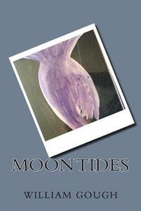bokomslag Moon Tides