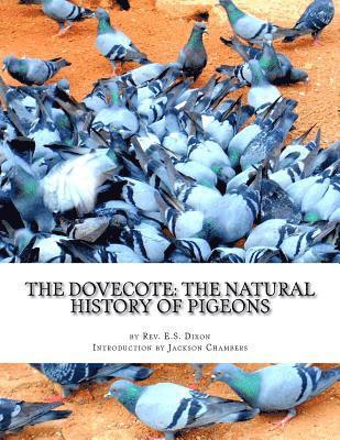 bokomslag The Dovecote: The Natural History of Pigeons: Pigeon Classics Book 13