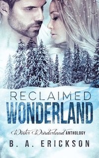 bokomslag Reclaimed Wonderland: Winter Wonderland Anthology