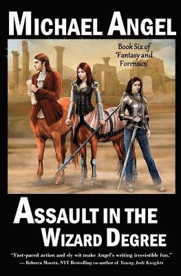 bokomslag Assault in the Wizard Degree: Book Six of 'Fantasy & Forensics'