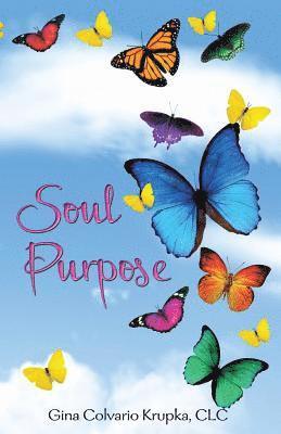 bokomslag Soul Purpose