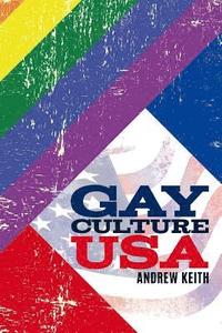 bokomslag Gay Culture USA