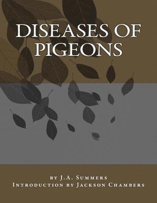 bokomslag Diseases of Pigeons