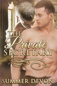 bokomslag The Private Secretary
