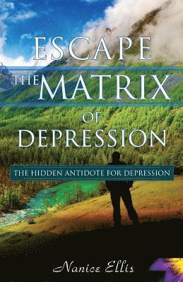 Nanice Ellis - Escape The Matrix of Depression: The Hidden Antidote for Depression, Häftad