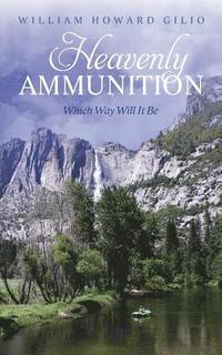 bokomslag Heavenly Ammunition