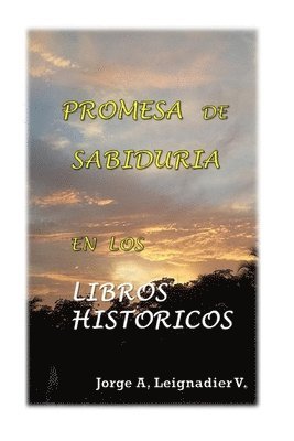 bokomslag Promesa de Sabiduria en los Libros Historicos