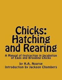 bokomslag Chicks: Hatching and Rearing: A Manual of Instruction in Incubation of Eggs and Brooding Chicks
