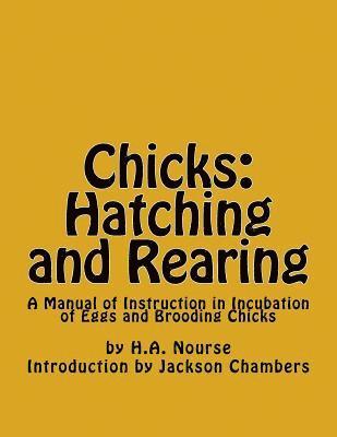 bokomslag Chicks: Hatching and Rearing: A Manual of Instruction in Incubation of Eggs and Brooding Chicks