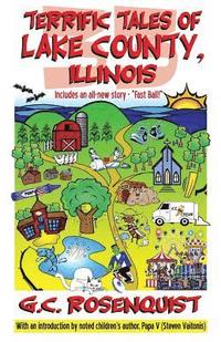 bokomslag 33 Terrific Tales of Lake County, IL