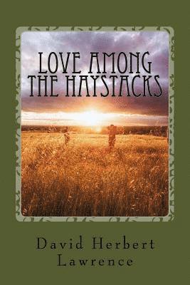 bokomslag Love Among the Haystacks