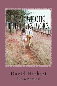 bokomslag Love Among the Haystacks