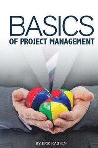 bokomslag Basics of Project Management