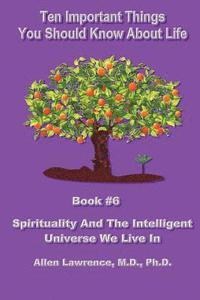 bokomslag Ten Important Things You Should Know About life: Book #6 - Spirituality And The Intelligent Universe We Live In