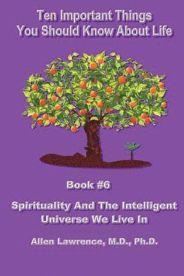 Ten Important Things You Should Know About life: Book #6 - Spirituality And The Intelligent Universe We Live In 1