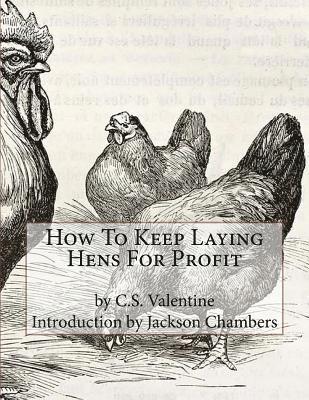 bokomslag How To Keep Laying Hens For Profit