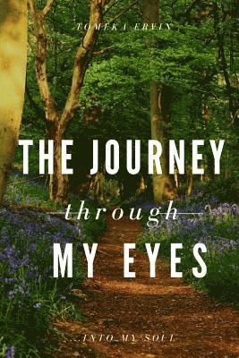 The Journey Through My Eyes: Into My Soul 1