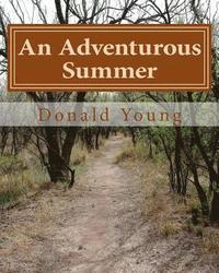 bokomslag An Adventurous Summer: The story of a young family's search for happiness and a different lifestyle