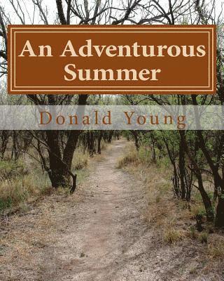 An Adventurous Summer: The story of a young family's search for happiness and a different lifestyle 1