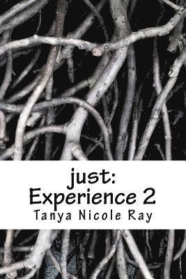 just: Experience 2 1