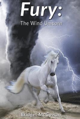 bokomslag Fury: The Wind Unicorn