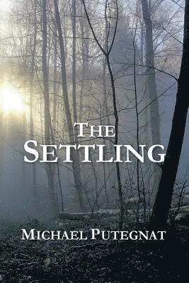 The Settling 1